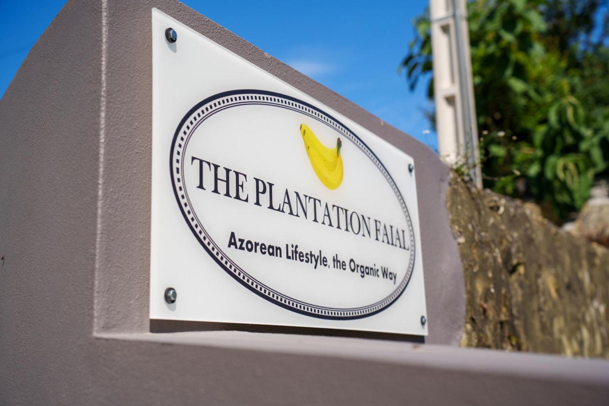 לינה וארוחת בוקר Feteira  The Plantation Faial מראה חיצוני תמונה